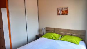 尼斯Val Roya Terrasse的一间卧室配有一张带绿色枕头的床