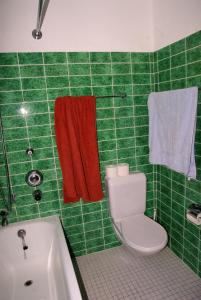 达沃斯达沃斯公寓的绿色瓷砖浴室设有卫生间和浴缸