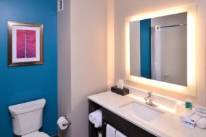 布赖恩特Holiday Inn Express and Suites Bryant - Benton Area, an IHG Hotel的一间带卫生间、水槽和镜子的浴室