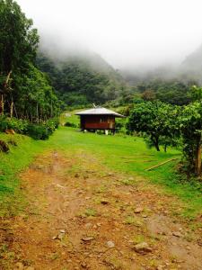 山林小屋所在大楼