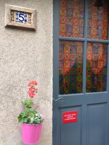 韦兹莱韦兹莱极好一室公寓的门和门旁边的盆栽植物
