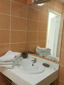 圣丹尼斯Hotel-appart Les Manguiers的浴室配有盥洗盆、镜子和毛巾