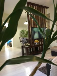 布拉索夫Poarta Ecaterina Residence的一间带电视和植物的客厅