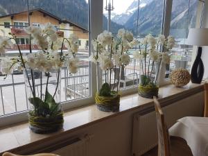 米特尔贝格斯坦波克酒店的窗台上满是白色花的三个花瓶