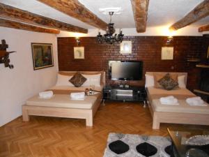 佩特罗瓦纳莫鲁Apartment Djukovic的客厅配有两张沙发和一台电视机