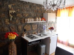 佩特罗瓦纳莫鲁Apartment Djukovic的厨房配有水槽和台面