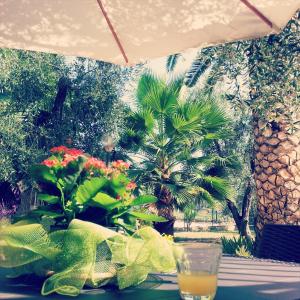 维耶斯泰梅里谷别墅公寓的一杯橙汁,坐在桌子上,放上植物