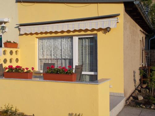马尔肖Urlaub am Malchower See - Wassergrundstück的窗户上有两个花盒的黄色房子