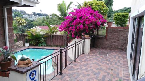 德班Lily's Cottage的阳台设有游泳池和粉红色的鲜花