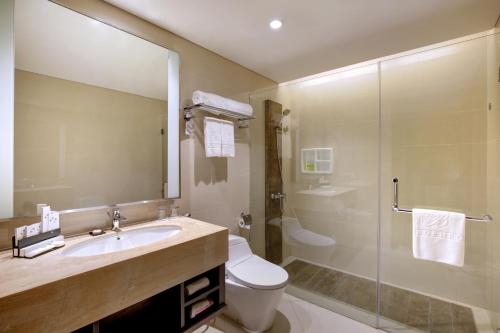 班贾尔马辛瑞雅婆罗洲马辰酒店的浴室配有卫生间、盥洗盆和淋浴。