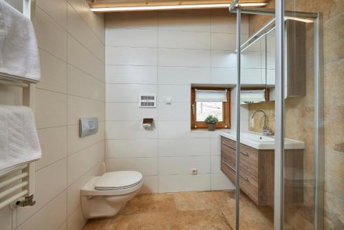 萨尔巴赫Landhaus Zirmhof的一间带卫生间和水槽的浴室