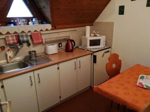克塞洛Belvárosi Apartman Kőszeg的一间带水槽和微波炉的小厨房
