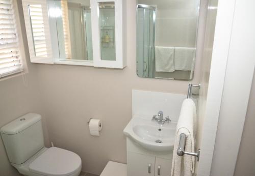 贝尔维尔The Winelands Guest House的一间带卫生间、水槽和镜子的浴室
