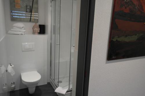 阿姆施泰滕勒什特弗雷德旅馆的一间带卫生间和玻璃淋浴间的浴室