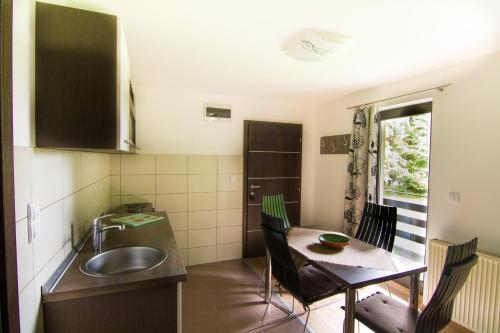 兹拉蒂博尔Apartments Cortina的一个带水槽和桌子的小厨房