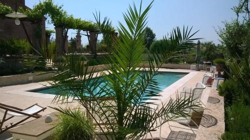 加达湖畔帕登赫B&B Posserle的游泳池前的棕榈树