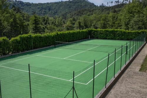贝韦里诺Casa Rea的网球场,带网和灌木丛