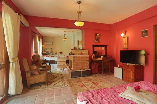 奇拉茨利以弗索斯精品酒店的客厅设有红色的墙壁和电视。
