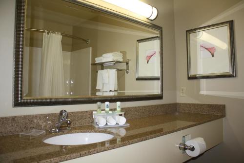 阿什维尔乡村酒店及套房酒店，由卡尔森，阿什维尔巴尔的摩广场的一间带水槽和大镜子的浴室