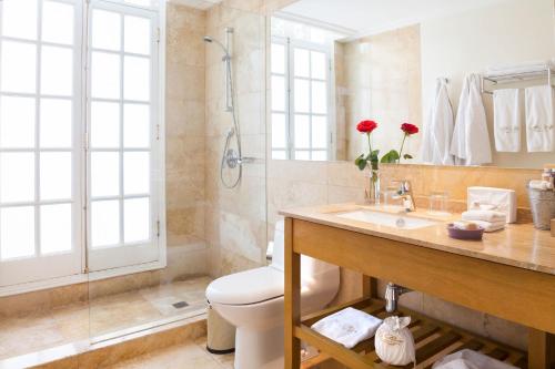 圣地亚哥梦想精品酒店的浴室配有卫生间、盥洗盆和淋浴。