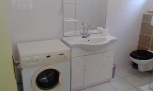 三河市villa telyna的一间带洗衣机和水槽的浴室