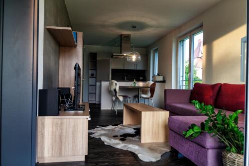 恩根赫温公寓的一间带紫色沙发的客厅和一间厨房