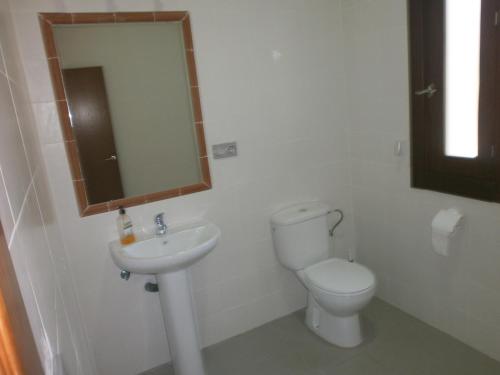 塞埃欣Albergue Coto Real de la Marina的一间带卫生间、水槽和镜子的浴室