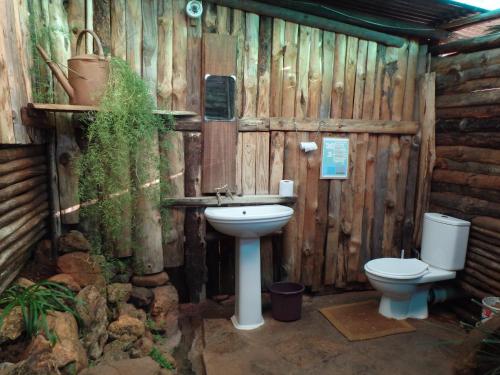 MoremelaJoy River Backpackers的木制浴室设有卫生间和水槽