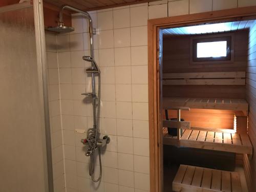 萨利色尔卡Panoraama 3的带淋浴的浴室和卫生间