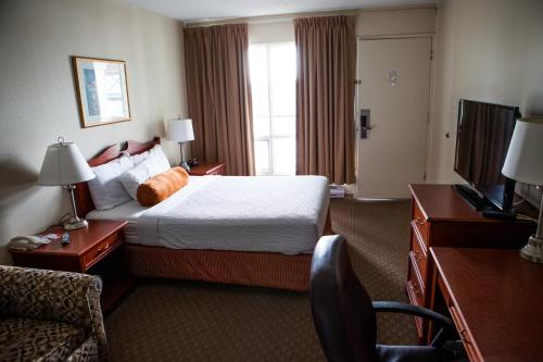 莱斯布里奇Knights Inn Lethbridge的酒店客房设有床和窗户。