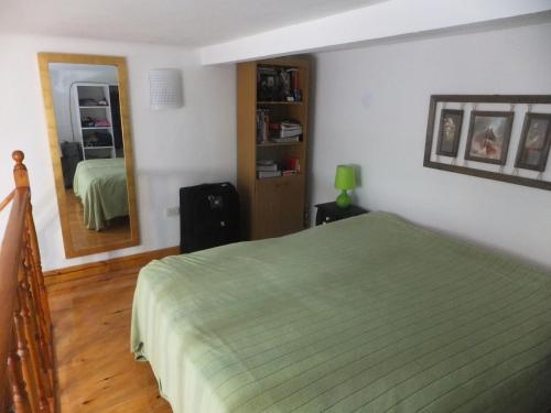 布宜诺斯艾利斯Great Loft Nunez的一间卧室配有绿色的床和镜子