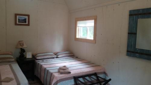 塔尔基特纳DFA Cabin Rentals的带窗户的客房内设有两张单人床。