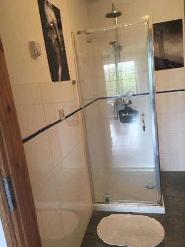 Stara RzekaDom Mossa的浴室里设有玻璃门淋浴