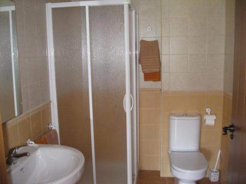 阿尔巴拉辛索尔德拉维加旅馆的带淋浴、卫生间和盥洗盆的浴室