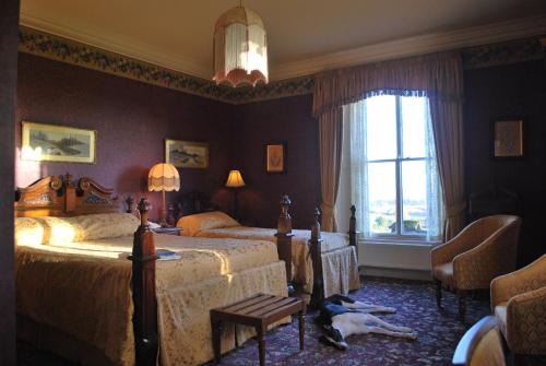 阿利士皇家天地酒店的卧室配有两张床,地板上放着一只狗。