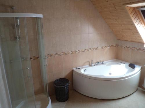 根尼斯迪亚斯Balaton Villa的带浴缸和玻璃淋浴间的浴室。