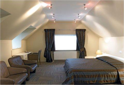 伊赫特赫姆沙龙德韦德酒店的卧室配有床、椅子和窗户。