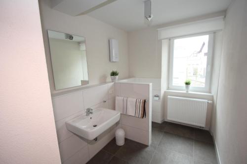 BrohlEifelhof Brohl的白色的浴室设有水槽和镜子