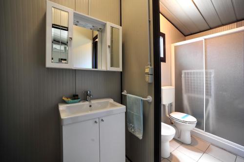 马里纳迪马萨Camping Giardino的浴室配有白色水槽和卫生间。