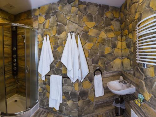 霍伊尼采SPA Apartment Parkowy的浴室配有水槽、淋浴和毛巾