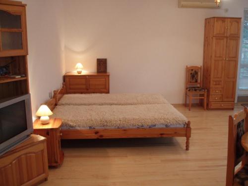 卡洛费尔Georgievi Guest House的一间卧室配有一张床和一台平面电视