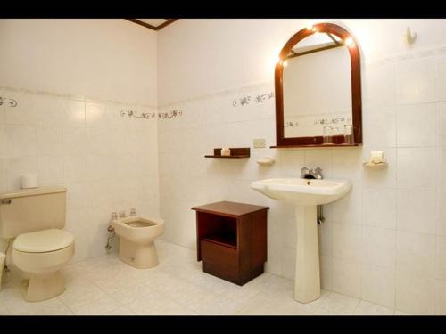 Colonia Palmareña爱情乐园酒店的一间带卫生间、水槽和镜子的浴室