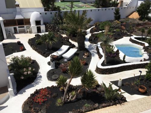 奥尔索拉Apartamentos Los Vientos (Apto 8)的一个带游泳池和棕榈树的花园
