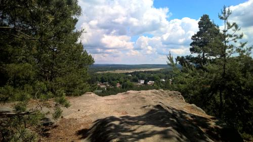 HradčanyRalsko-Hradcany - apartmán的从山顶的树木上欣赏美景