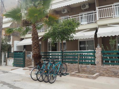 尼亚普拉加Zonita Guest House的一群自行车停在棕榈树旁边