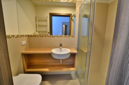 尼彻兹DW Koral的一间带水槽和淋浴的浴室