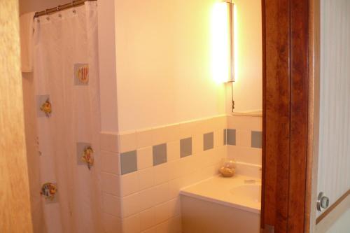 旧奥查德比奇海之漂流汽车旅馆的带浴缸、水槽和淋浴的浴室