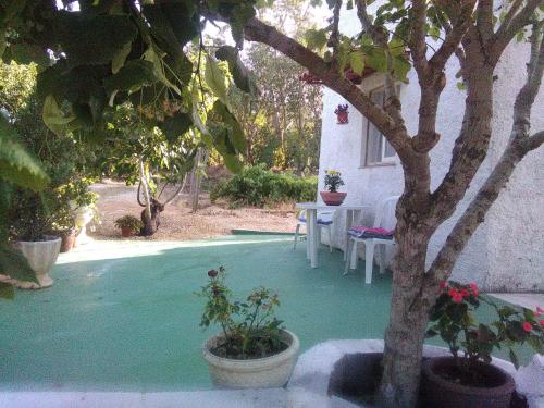拉戈斯自然之家度假屋的一个带桌椅和树的庭院