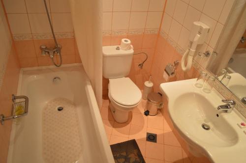 内塞伯尔斯坦科夫酒店的一间带卫生间和水槽的小浴室