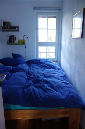罗埃特根Ferienhaus Quick's Cottage的窗户客房内的一张蓝色的床